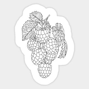 raspberry Sticker